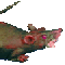 Giant Rat (gold 25)