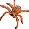 Giant Spider (gold 15)